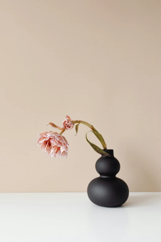 a black vase with a single flower in it, a still life, unsplash, with soft pink colors, stacked, dwell, curated collection