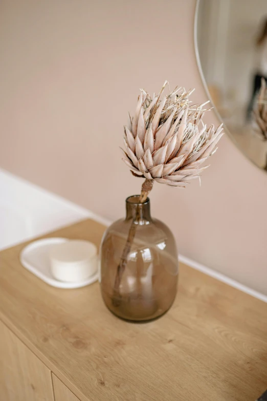 a brown vase sitting on top of a wooden table next to a mirror, a picture, detailed product shot, thistle, with soft pink colors, full product shot