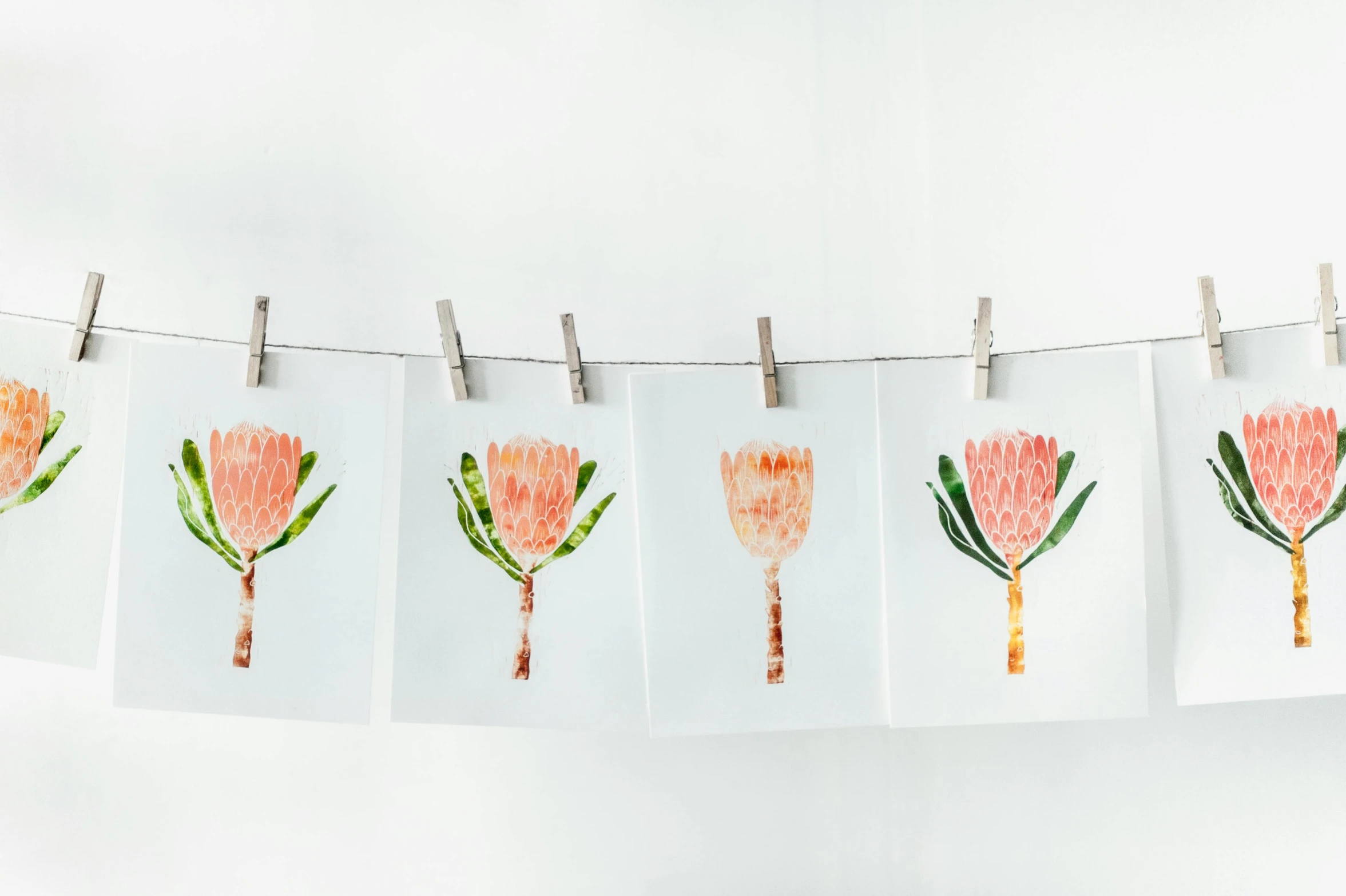 a bunch of pictures hanging on a clothes line, a watercolor painting, inspired by Annabel Kidston, trending on unsplash, mail art, flowering pineapples, set against a white background, in shades of peach, studio shot