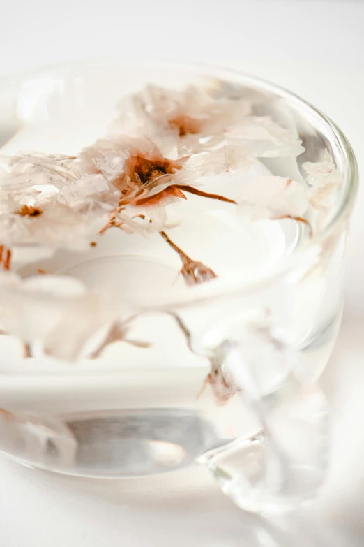 a close up of a bowl of food with chopsticks, a macro photograph, by Daniel Seghers, process art, white flowers, transparent liquid, ice coffee, transparent feathers