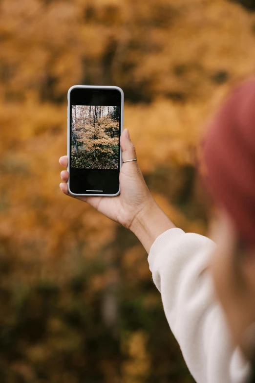 a person taking a picture with a cell phone, a picture, by Winona Nelson, unsplash contest winner, muted fall colors, vertical orientation, minn, tech