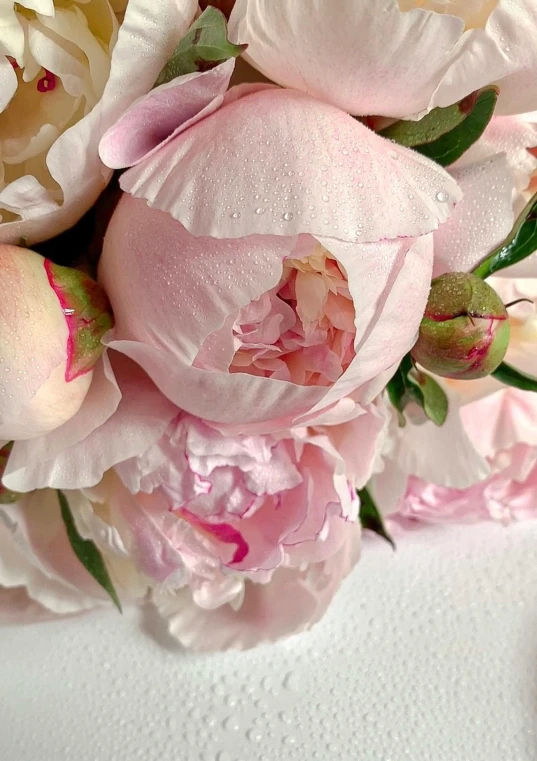 a close up of a bunch of flowers on a table, inspired by Cy Twombly, romanticism, light pink mist, pearlized, many peonies, award winning