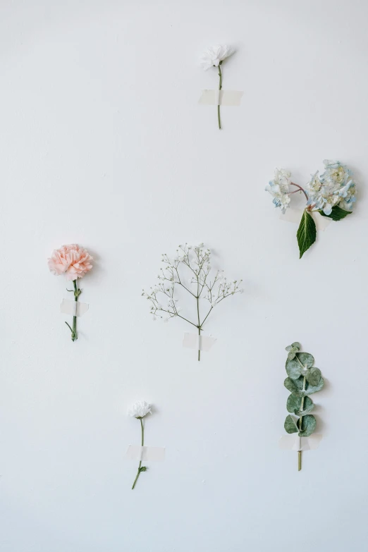 a white wall with a bunch of flowers on it, trending on unsplash, minimalism, floating pieces, multiple stories, 4 k hd wallpapear, delicate embellishments