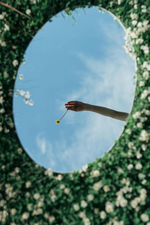 a person holding a flower in front of a circular mirror, unsplash contest winner, magic realism, reaching for the sky, in garden, promo image, rinko kawauchi