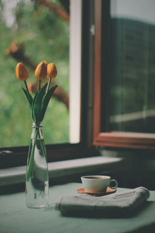 a vase filled with yellow flowers next to a window, pexels contest winner, portrait of morning coffee, tulip, rustic setting, brown