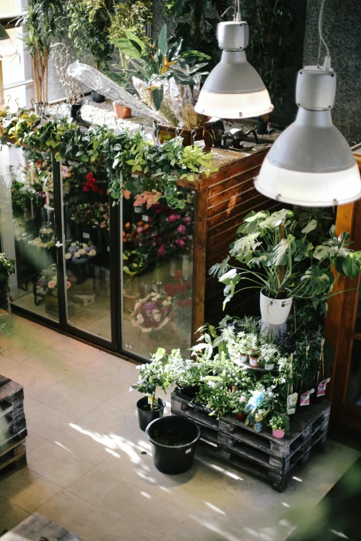 a room filled with lots of potted plants, a photo, by Jan Tengnagel, unsplash, art nouveau, flower shop scene, high view, view from the side, wrapped in cables and flowers