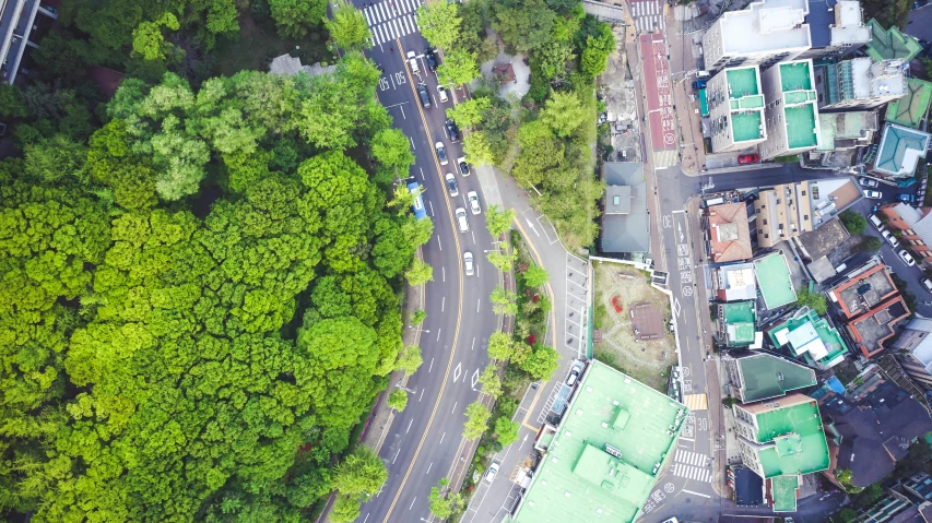 an aerial view of a city with lots of trees, a picture, by Jang Seung-eop, unsplash, street corner, in karuizawa, video still, a green