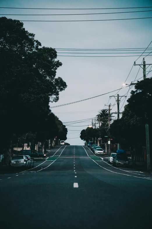 a street lined with trees and power lines, an album cover, unsplash contest winner, melbourne, wide roads, poorly lit, suburbs