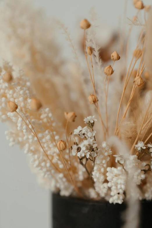 a close up of a vase with flowers in it, beige cream natural muted tones, seeds, ethereal soft and fuzzy glow, close-up product photo