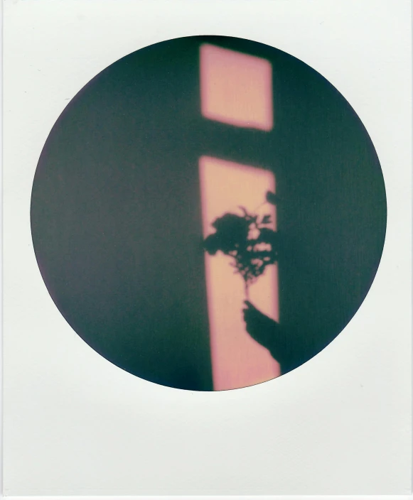 a person holding a flower in front of a window, a polaroid photo, by Nathalie Rattner, postminimalism, round window, silhouette :7, ( ( photograph ) ), unframed