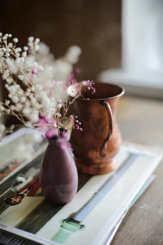 a couple of vases sitting on top of a table, a still life, unsplash, arts and crafts movement, brown and pink color scheme, gypsophila, copper, purple themed