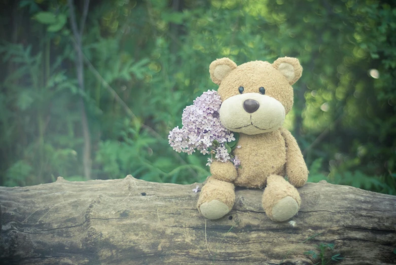 a teddy bear sitting on a log holding a bunch of flowers, lilacs, with a tree in the background, instagram picture, paul barson