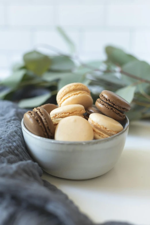 a bowl filled with macarons sitting on top of a table, a portrait, browns and whites, premium, cookies, botanicals