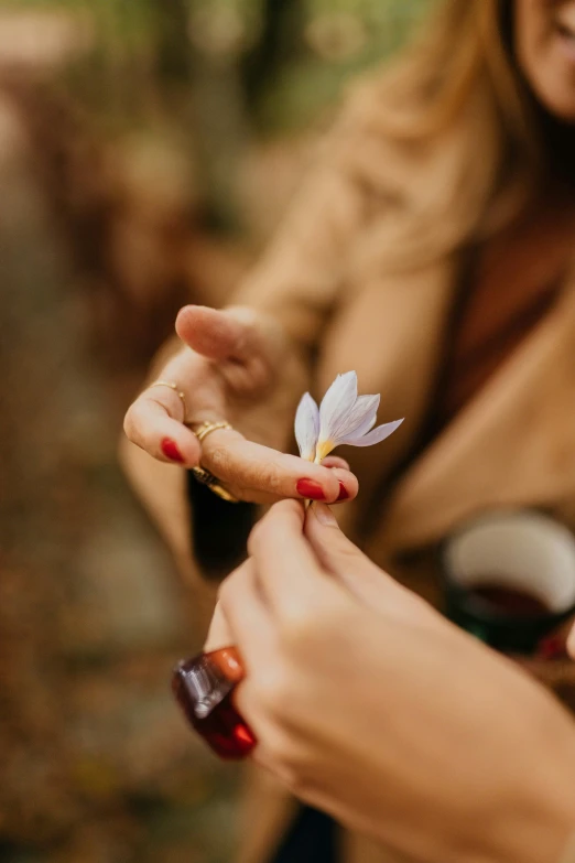 a close up of a person holding a flower, reaching out to each other, holding a drink, multiple stories, magnolia