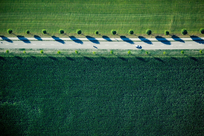 a car driving down a road next to a lush green field, by Hans Schwarz, unsplash contest winner, land art, big shadows, people at work, 15081959 21121991 01012000 4k, corn