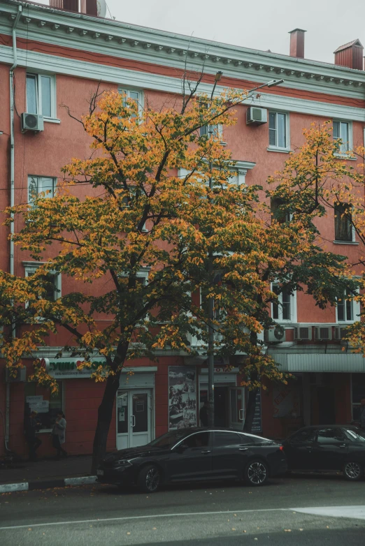 a red building with a tree in front of it, a photo, inspired by Elsa Bleda, unsplash contest winner, art nouveau, russian city, golden leaves, gray and orange colours, a beautiful tree