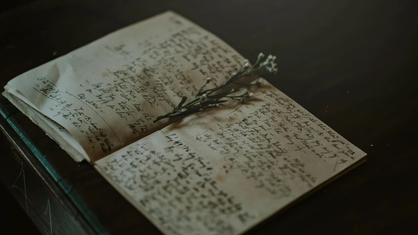 a piece of paper sitting on top of a table, by Emma Andijewska, unsplash, renaissance, old scars, writing in journal, ignant, dried plants