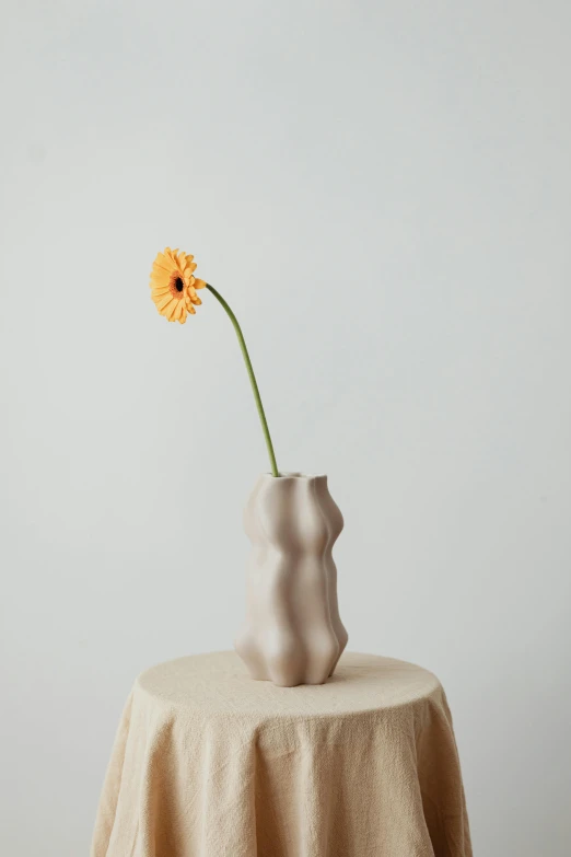 a vase sitting on top of a table with a flower in it, inspired by Kim Tschang Yeul, new sculpture, soft curvy shape, medium long shot, frank gehry, studio shot