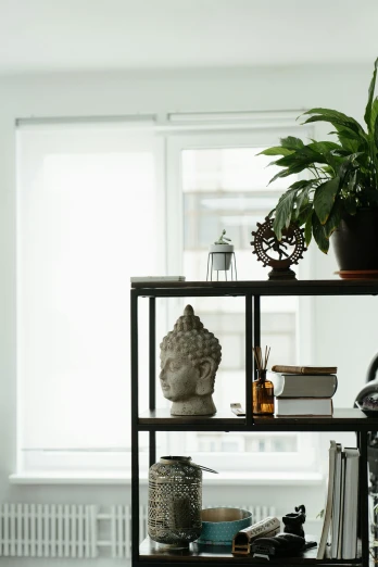 a living room filled with furniture and a potted plant, a statue, unsplash, shelf, buddha, modern lush condo as shopfront, display case