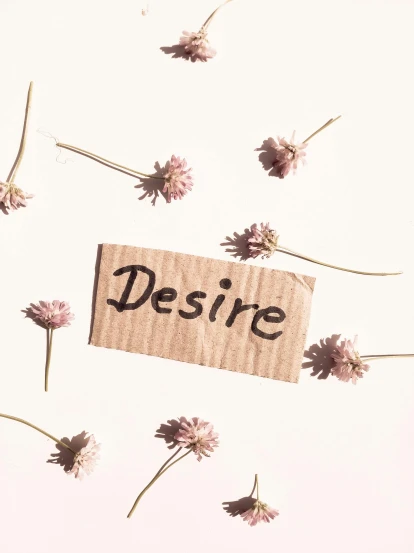 a piece of paper with the word desire written on it surrounded by flowers, inspired by Albert Dorne, trending on unsplash, telegram sticker, subtle earthy tones, dessert, pose 4 of 1 6
