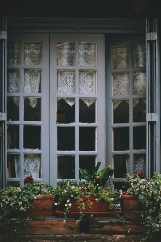 a window filled with lots of potted plants, a cross stitch, pexels contest winner, victorian lace, grey, exterior, shot on 70mm