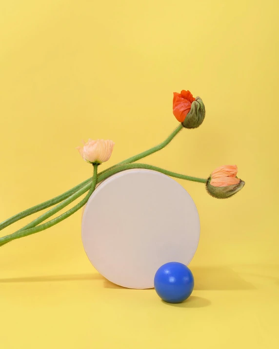 a vase sitting on top of a table next to a blue ball, inspired by Jeff Koons, unsplash contest winner, white and yellow scheme, on textured disc base, flowers and stems, solid coloured shapes