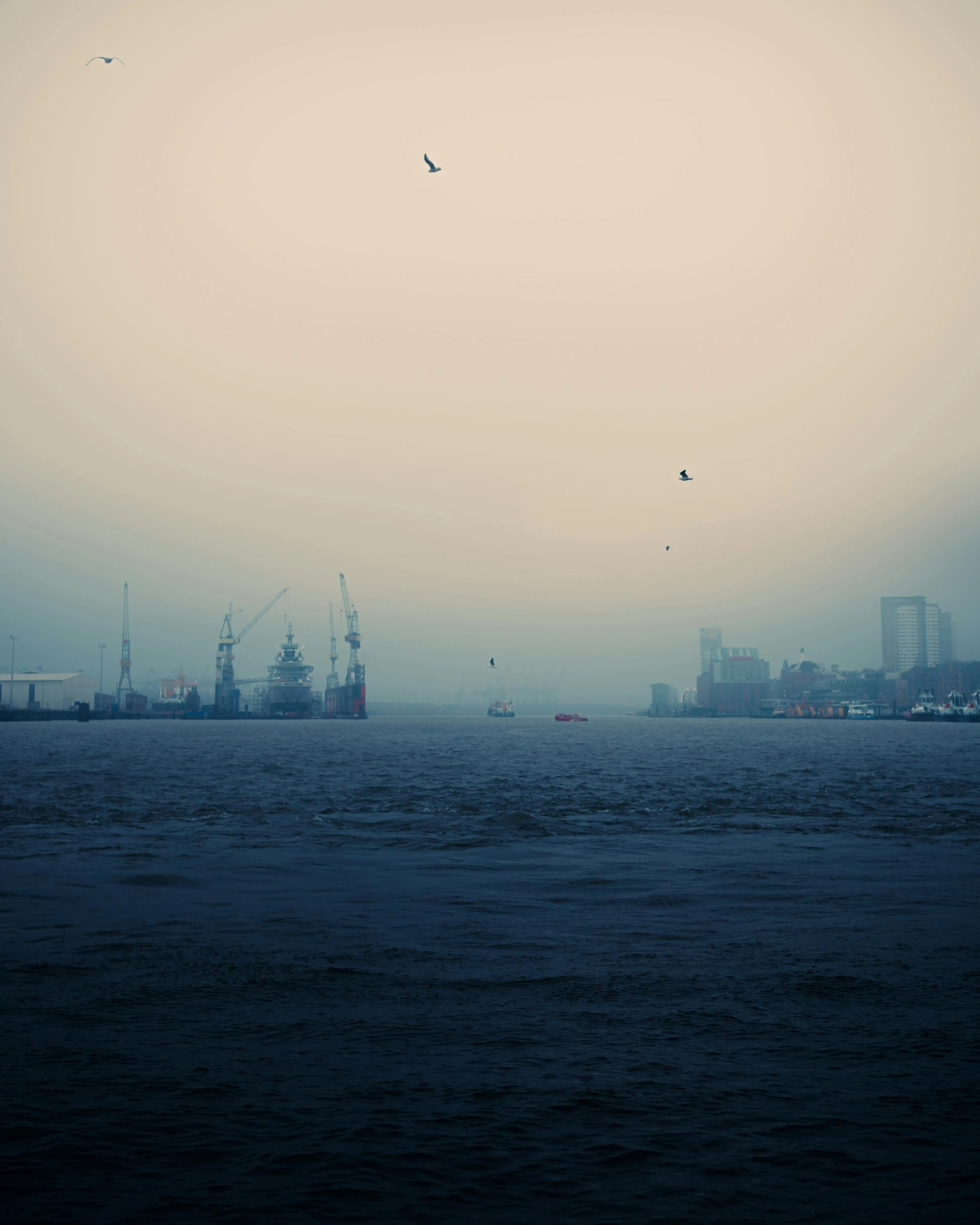 a group of birds flying over a body of water, a picture, inspired by Elsa Bleda, graffiti, city fog, harbour, ships, low quality photo