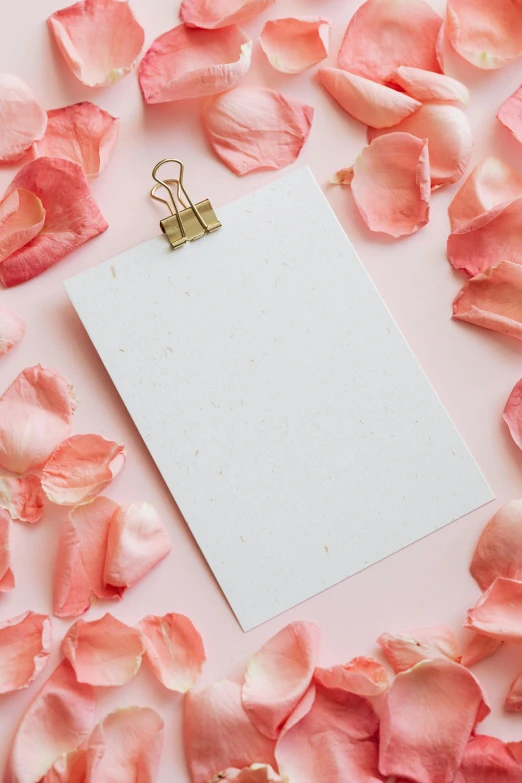a piece of paper surrounded by rose petals, by Carey Morris, pexels contest winner, minimal pink palette, instagram post, delicate embellishments, card template