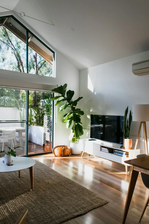 a living room filled with furniture and a flat screen tv, by Liza Donnelly, unsplash, light and space, beachwood treehouse, in chippendale sydney, balcony door, vaulted ceiling