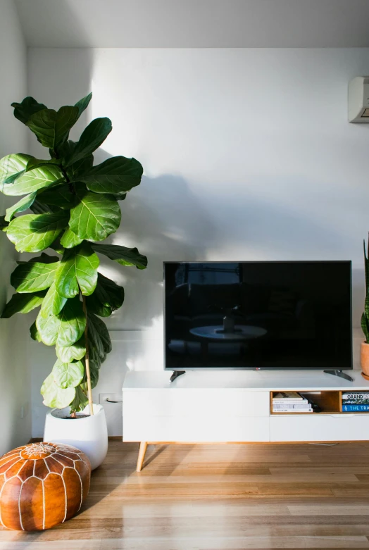 a flat screen tv sitting on top of a white entertainment center, inspired by Eero Snellman, unsplash, large potted plant, dwell, angle view, opening shot