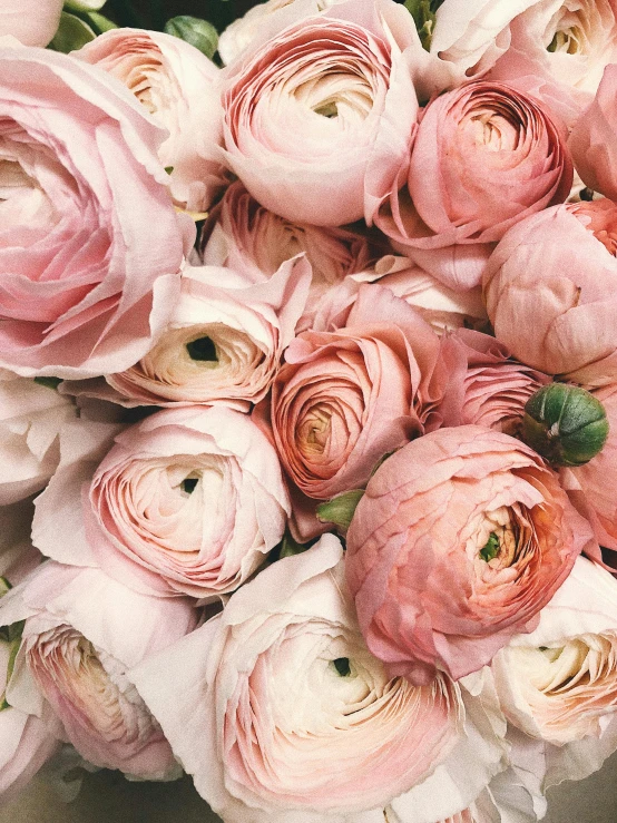 a bouquet of pink flowers sitting on top of a table, up-close, ((pink)), up close, light blush