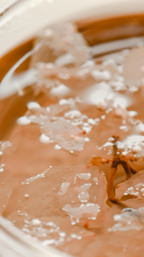 a bowl of soup with a spoon sticking out of it, a macro photograph, by Matthias Weischer, trending on unsplash, plasticien, foamy bubbles, brown flowers, transparent liquid, closeup 4k