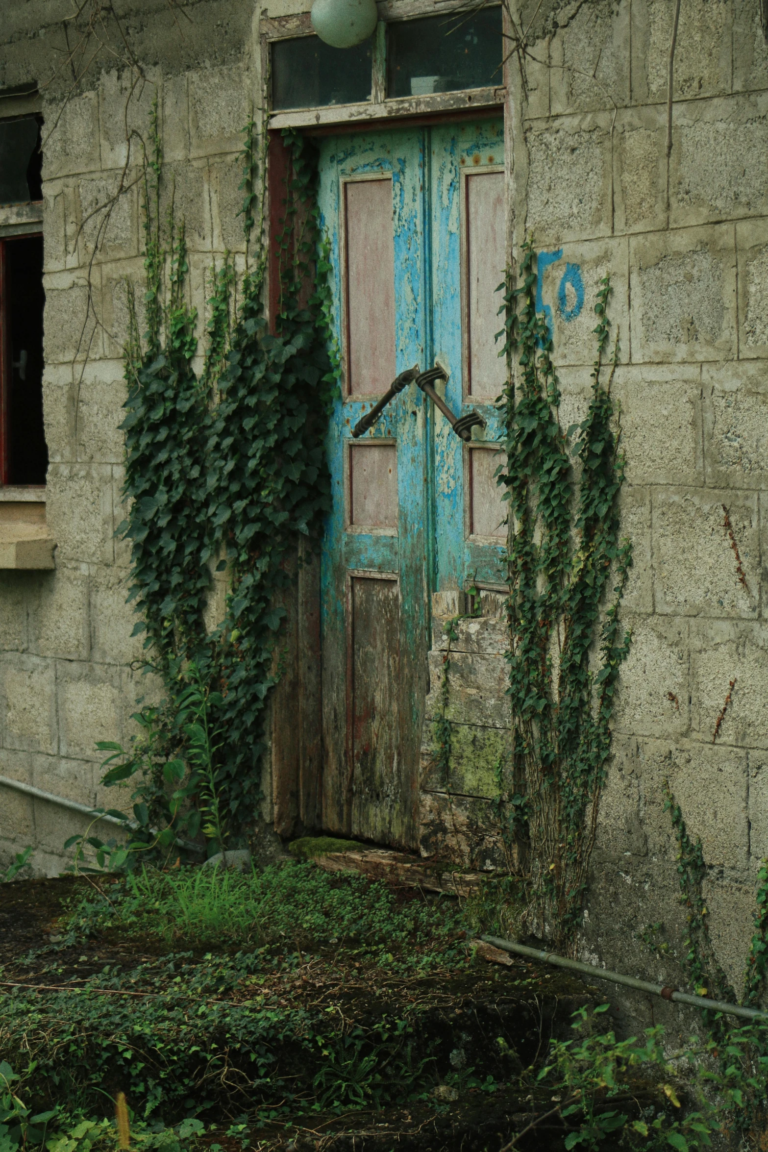 a blue and white fire hydrant sitting in front of a building, an album cover, conceptual art, ancient overgrown! ruins, door, green vines, paul barson