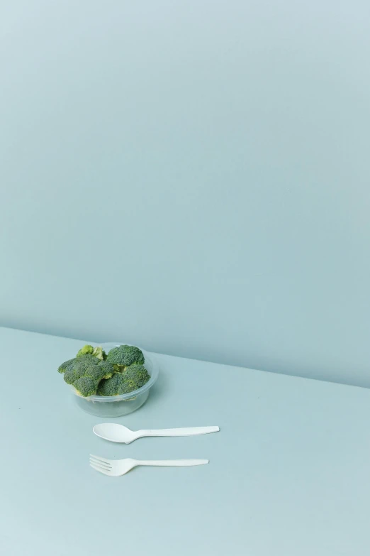 a bowl of broccoli sitting on top of a table, a still life, by Doug Ohlson, minimalism, light-blue, spoon, small, 6k