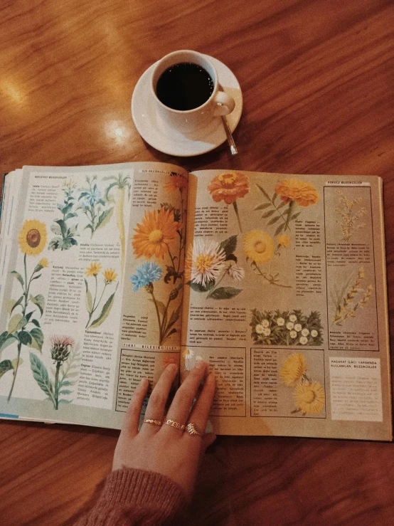 an open book sitting on top of a wooden table next to a cup of coffee, on a botanical herbarium paper, trending on vsco, craigslist photo, holding magic flowers