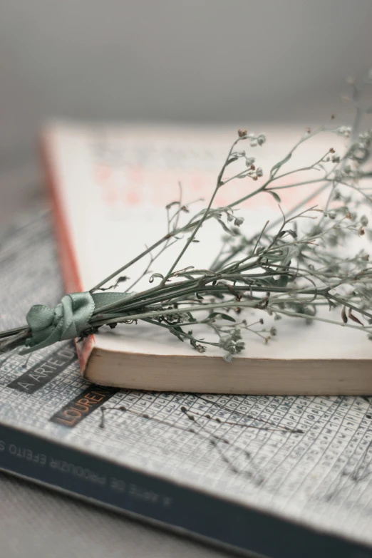 a book with a bunch of flowers on top of it, trending on unsplash, dried herbs, 15081959 21121991 01012000 4k, grey, gypsophila