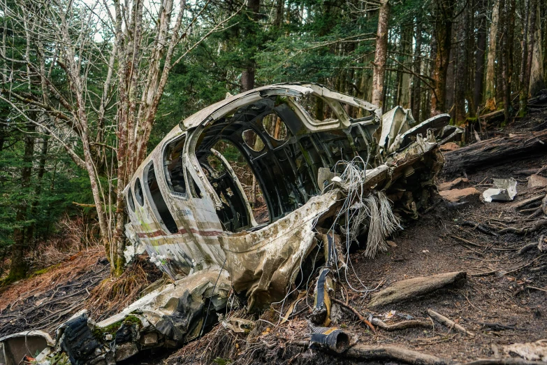 a burnt out car sitting in the middle of a forest, by Meredith Dillman, unsplash, auto-destructive art, fused aircraft parts, avatar image, haida gwaii, beached submarine