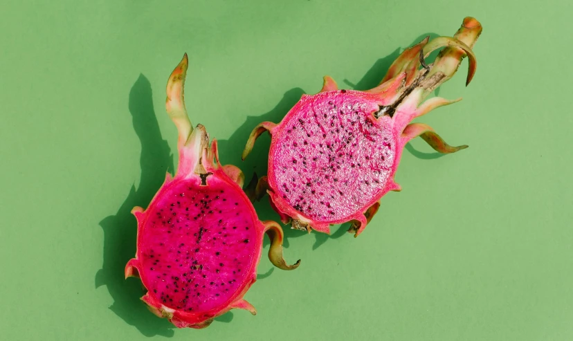 a dragon fruit cut in half on a green surface, trending on pexels, hurufiyya, brown and magenta color scheme, pictured from the shoulders up, illustration, 🦩🪐🐞👩🏻🦳