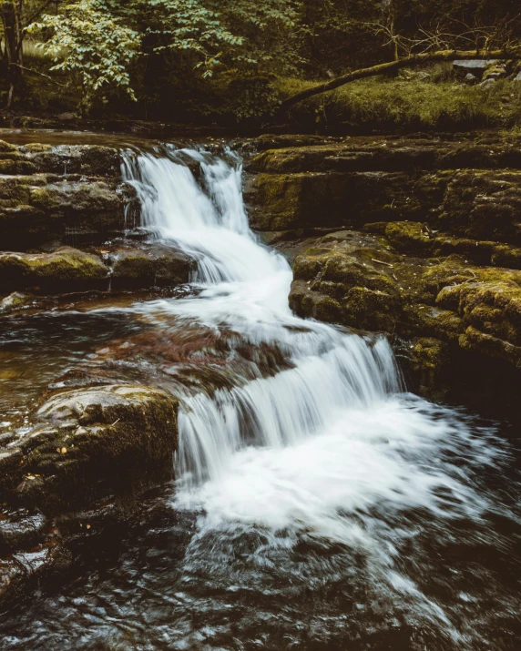 a stream running through a lush green forest, an album cover, pexels contest winner, water cascading, wales, thumbnail, stacked image