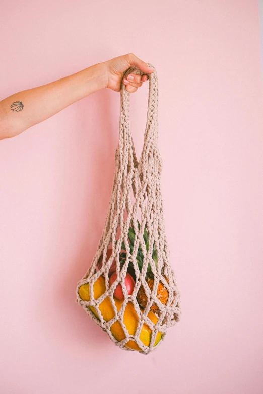 a person holding a string bag full of fruit, by Matija Jama, pexels contest winner, process art, macrame, plain background, mall, kailee mandel