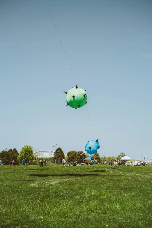 a group of people flying kites in a field, by Ryan Pancoast, kinetic art, spheres, cyan and green, giant pig grass, from wheaton illinois