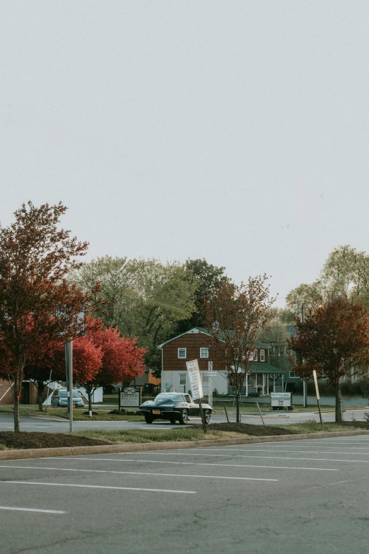 a red stop sign sitting on the side of a road, a picture, trending on unsplash, visual art, maple trees along street, small town surrounding, background image, wide establishing shot