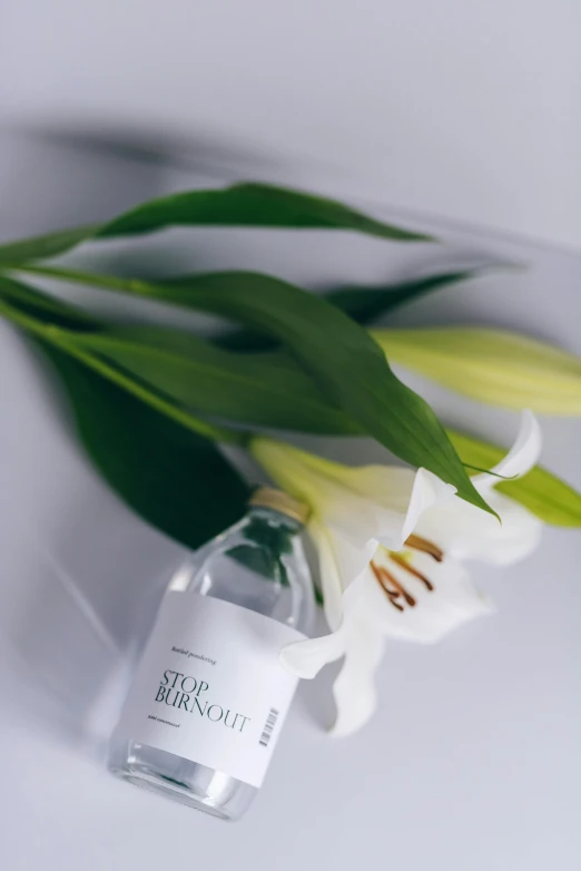 a bottle of water sitting next to a flower, white lilies, product view, sustainable, skin detail