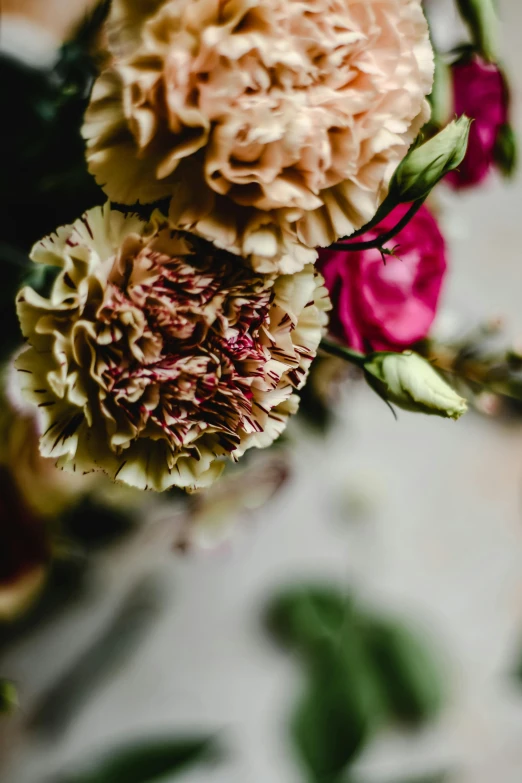 a bunch of flowers sitting on top of a table, unsplash, baroque, carnation, loosely detailed, caramel. rugged, zoomed in