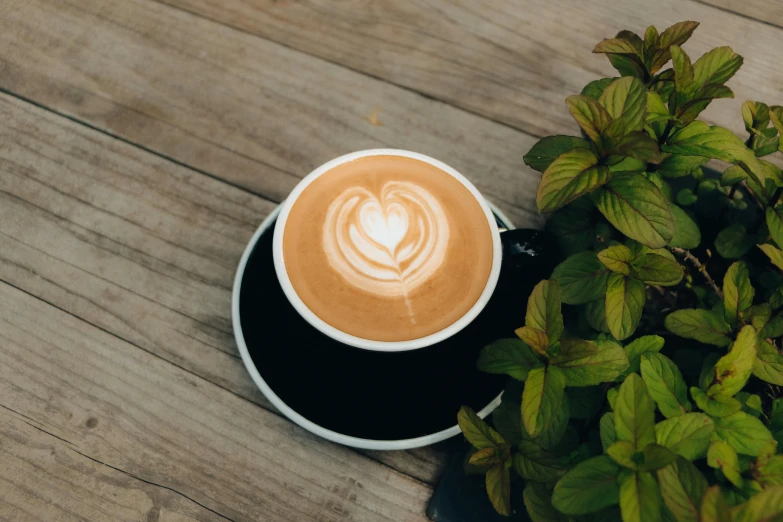 a cup of coffee sitting on top of a wooden table, by Carey Morris, trending on unsplash, hurufiyya, vibrant foliage, jasmine, 15081959 21121991 01012000 4k, aussie baristas