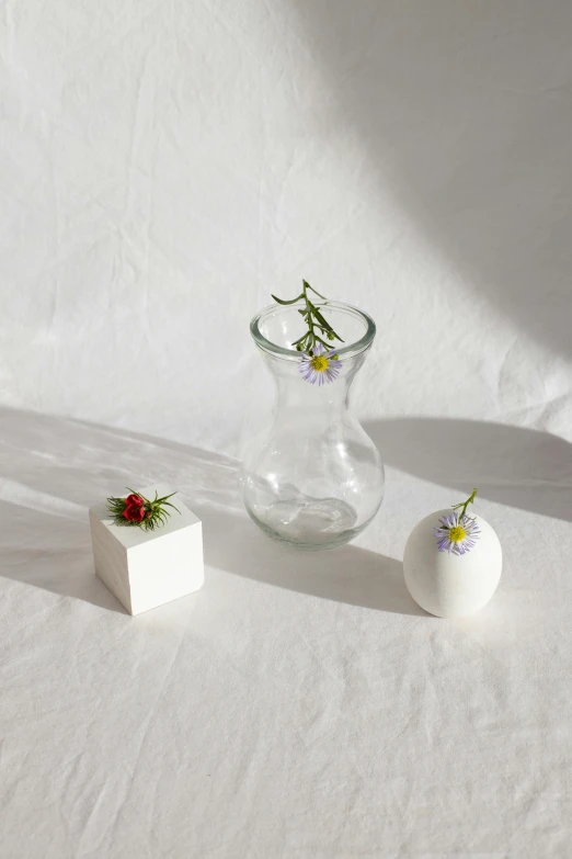 a glass vase sitting on top of a white table, white ceramic shapes, edible flowers, textured base ; product photos, softly shadowed