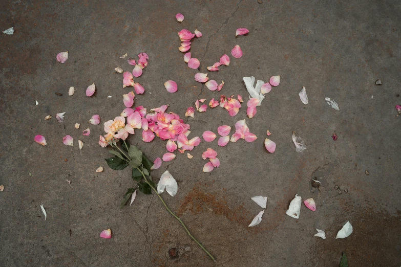 a bunch of flowers that are on the ground, an album cover, inspired by Elsa Bleda, pexels contest winner, hyperrealism, rose quartz, broken pieces, murder scene, 15081959 21121991 01012000 4k