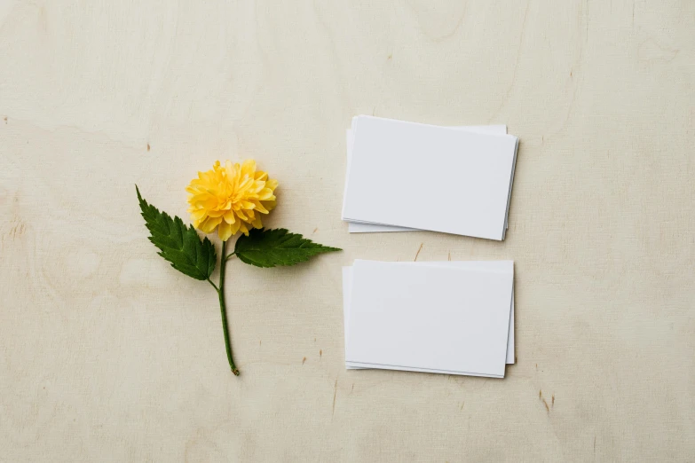 a yellow flower sitting on top of a wooden table, pair of keycards on table, made of all white ceramic tiles, flatlay, thumbnail