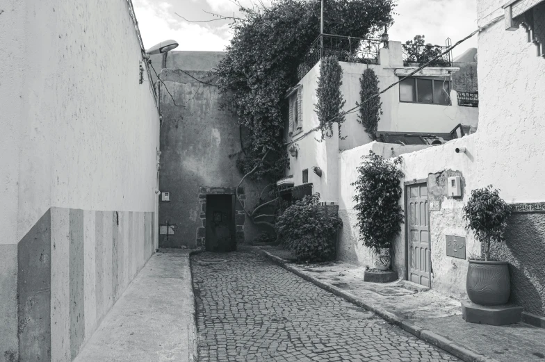 a black and white photo of a cobblestone street, by Alejandro Obregón, pexels contest winner, surrealism, empty buildings with vegetation, chile, old jeddah city alley, one house