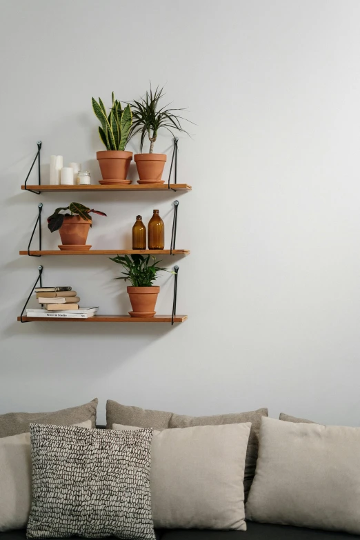 a black couch sitting in a living room next to a white wall, a portrait, by Jan Tengnagel, unsplash, simple wood shelves, pots with plants, leather straps, detail shot
